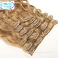 Top Quality Grade 7a Virgin Remy Hair - 100% Human Hair Straight Clip In Hair Extension